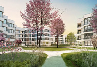 Visualisierung Architektur Wettbewerb Aussen Wohnungsbau Feldbreite Emmen 2013